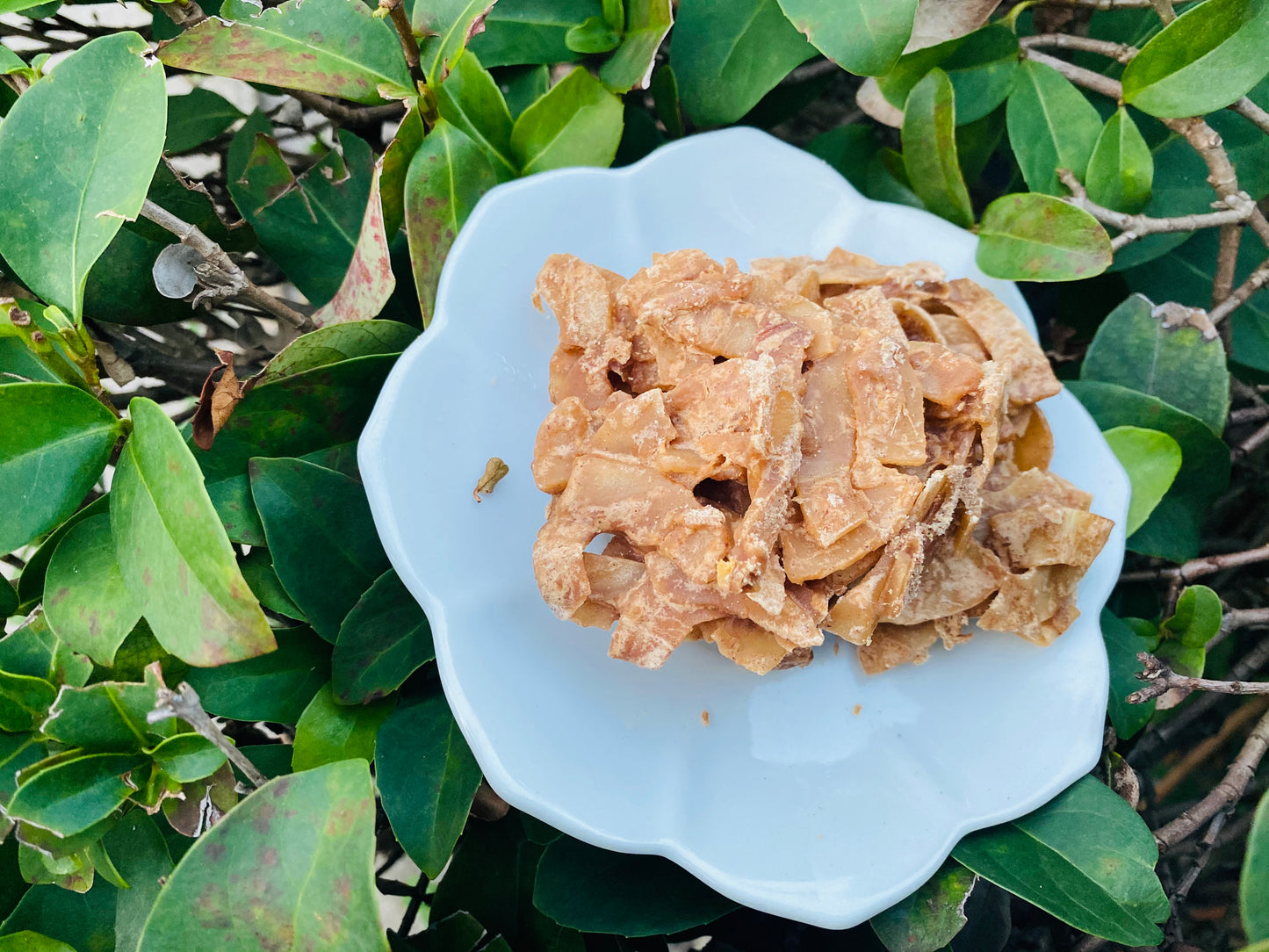 Kokoye | Haitian Snacks