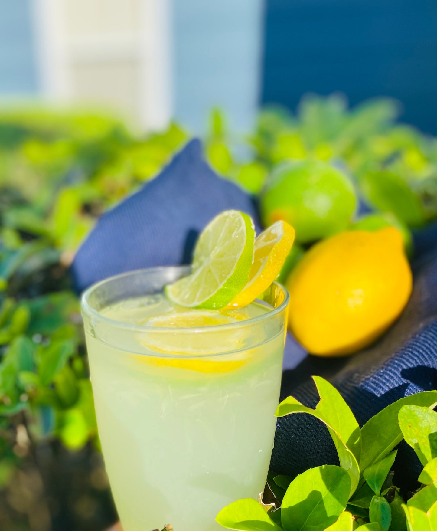 Juice | Natural Haitian Beverages