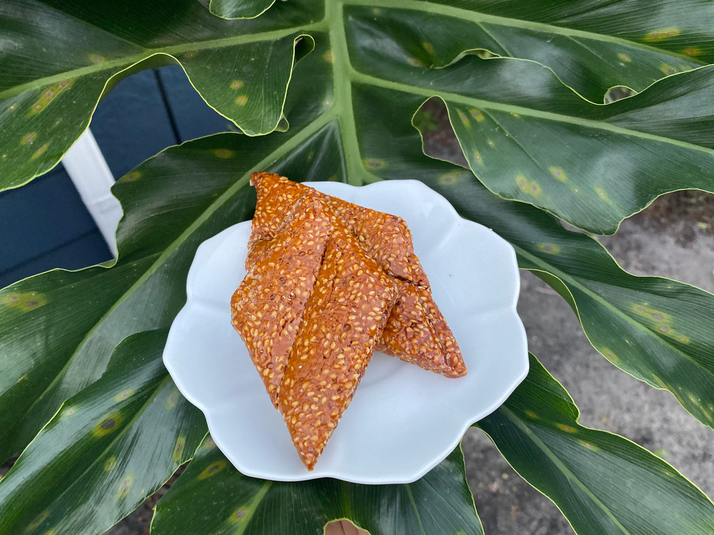 Roroly | Haitian Snacks